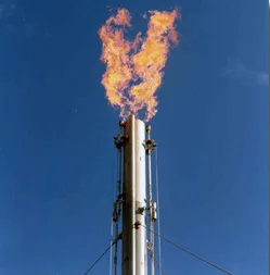 Quemador industrial